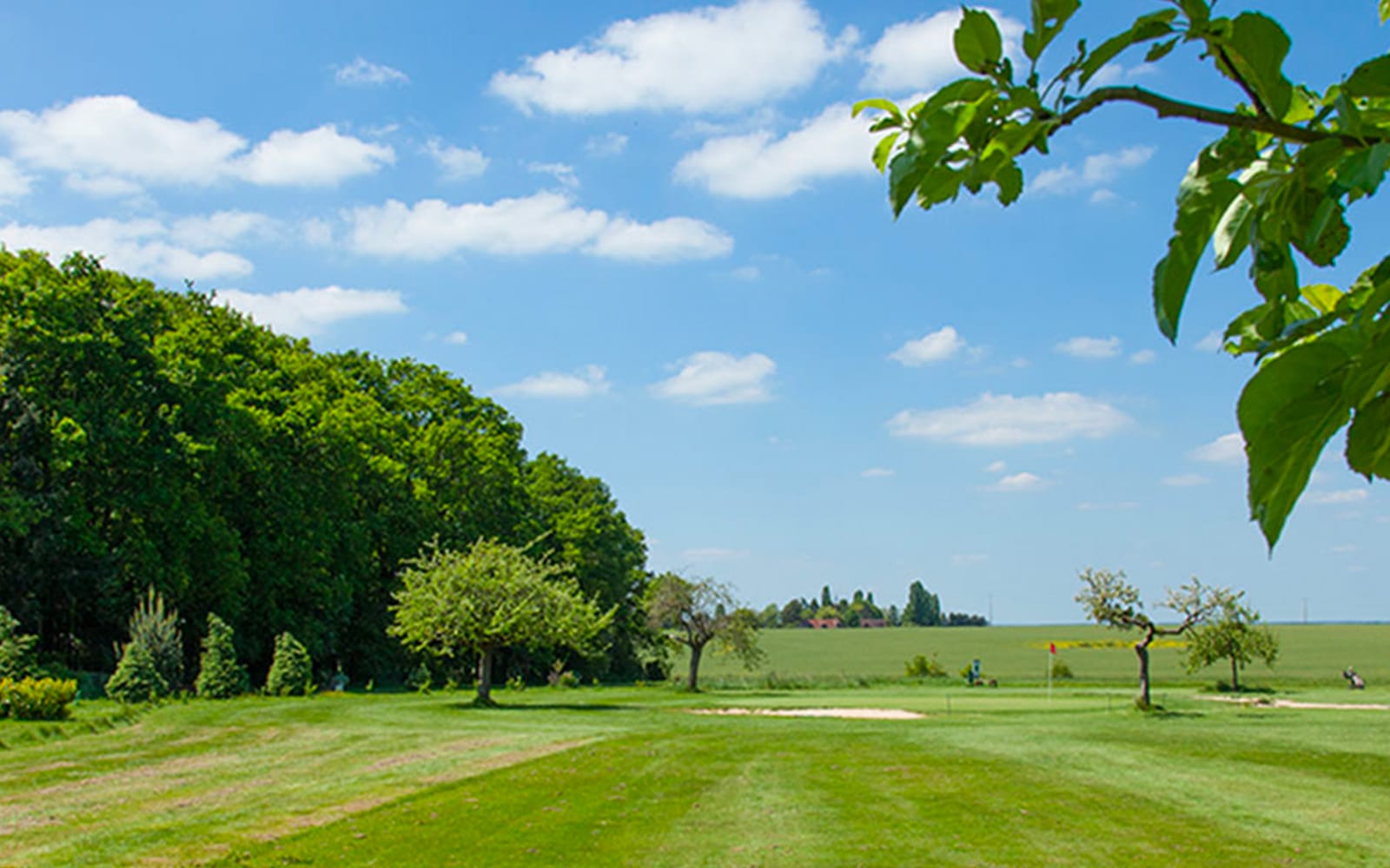 Golf du Bois d'O - L'Etang