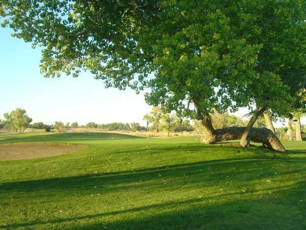Fallon Golf Course