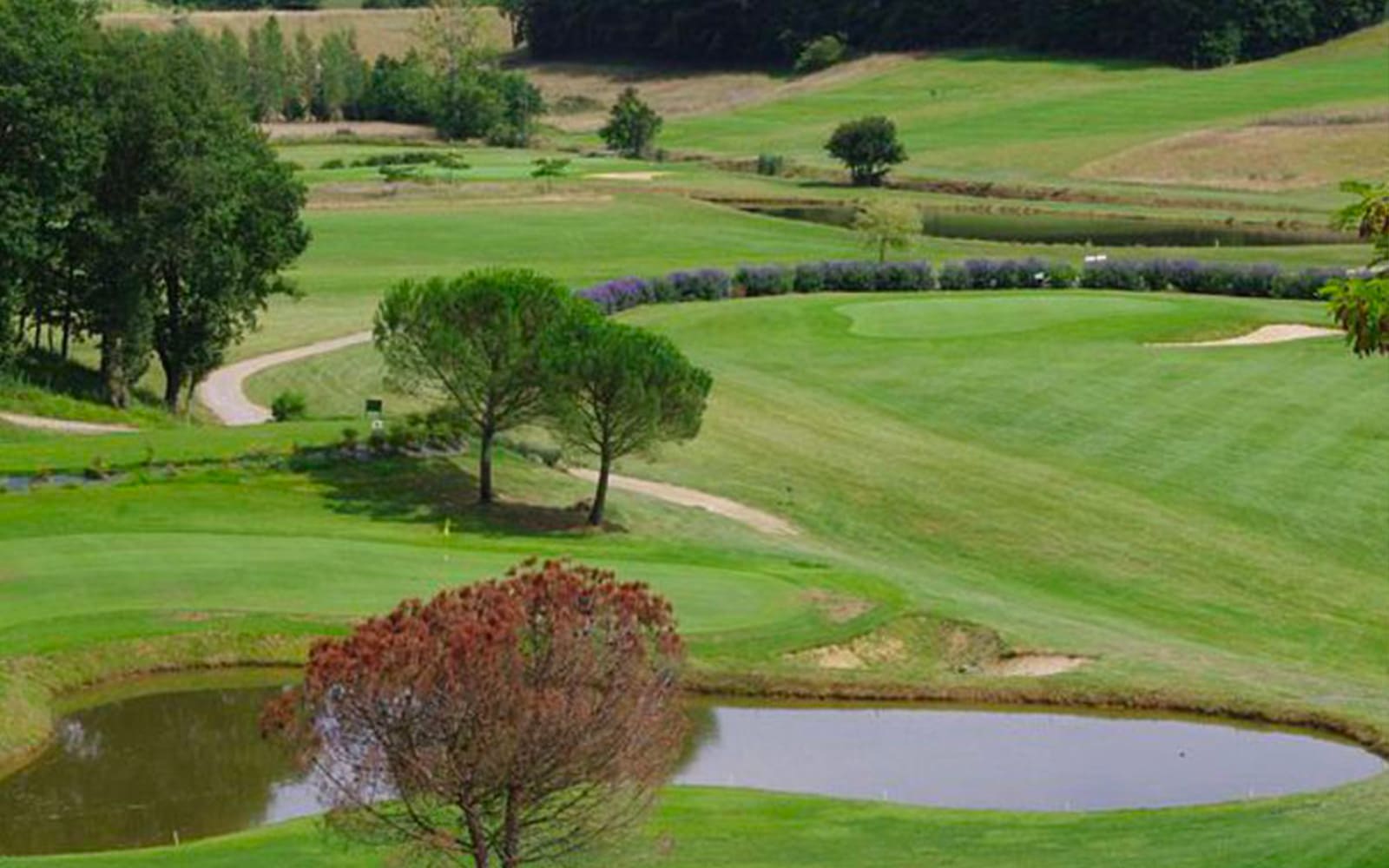 Golf Country Club de Guinlet