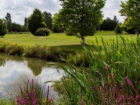 UGOLF: Golf de Metz