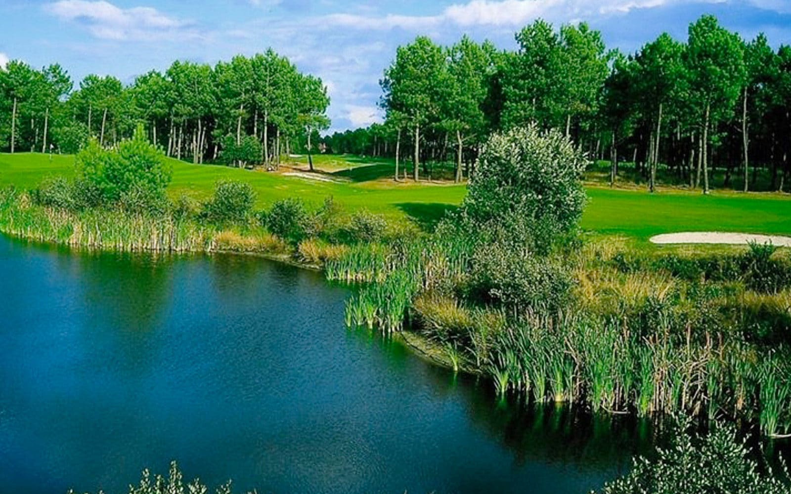 Pessac Golf course blue green