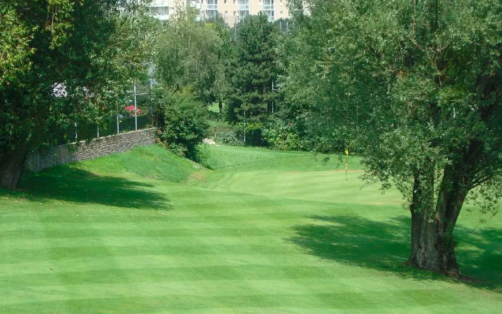 Daily Golf de Rosny sous Bois