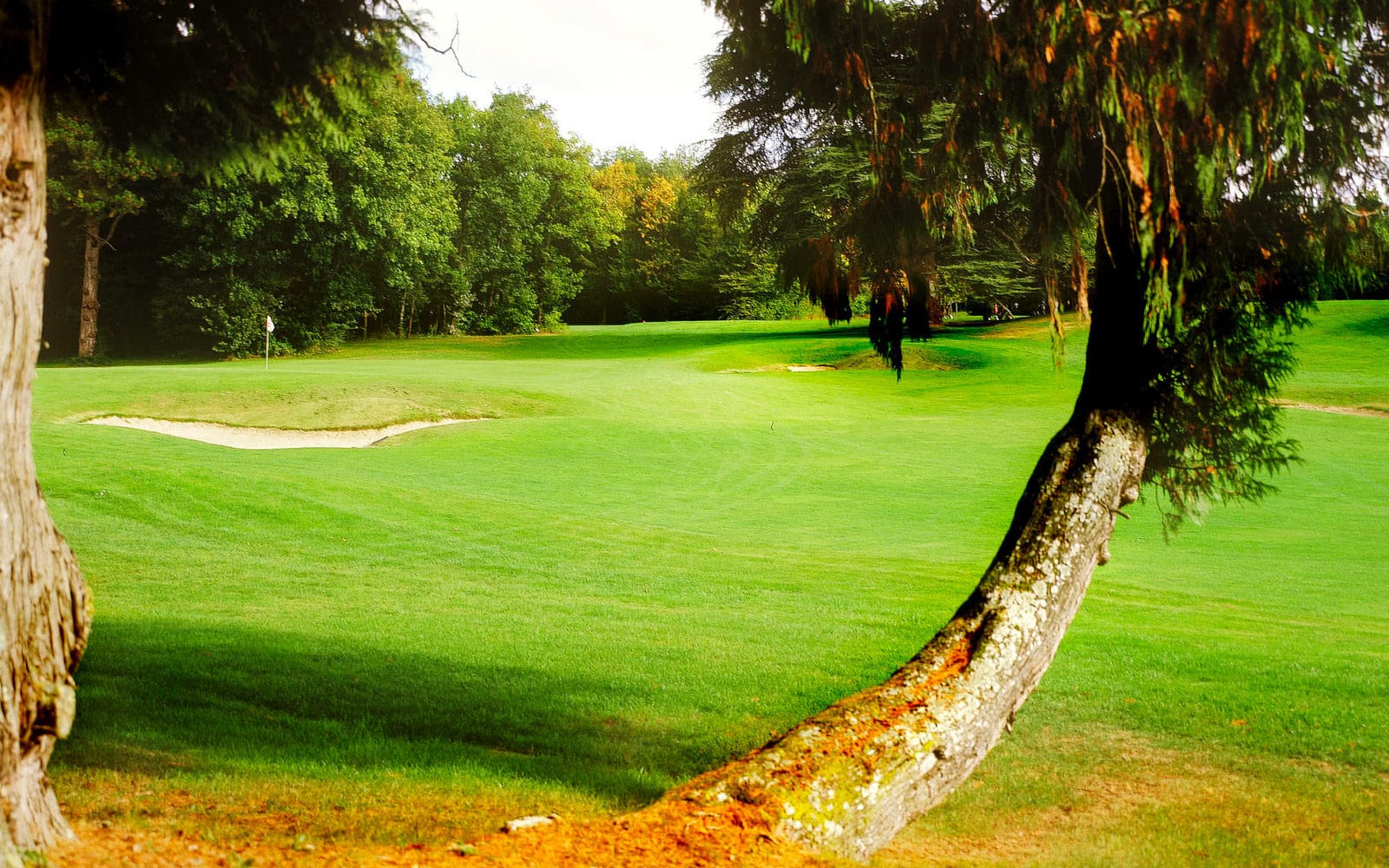 The Golf Club du Val de l'Indre, golf near Châteauroux, France