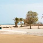 Al Dhafra Golf Club