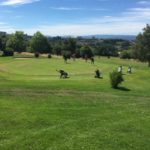 Golf d'Autun