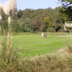 Golf de la Picardière