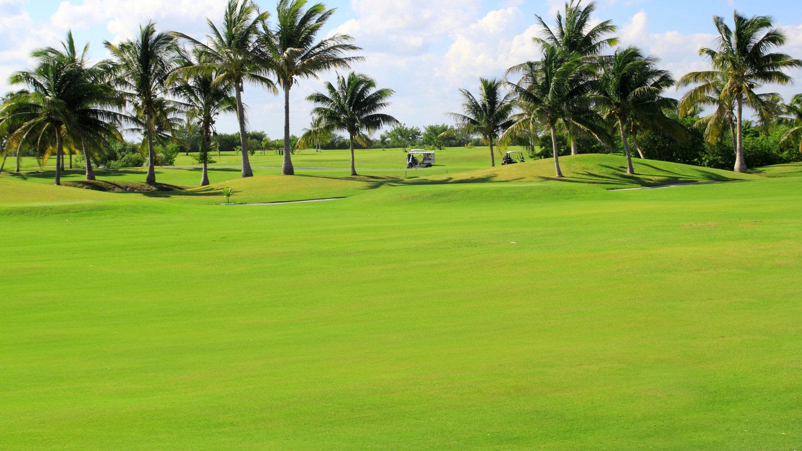 Golf Club Saint-Francois Guadeloupe