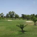 Royal Malta Golf Club