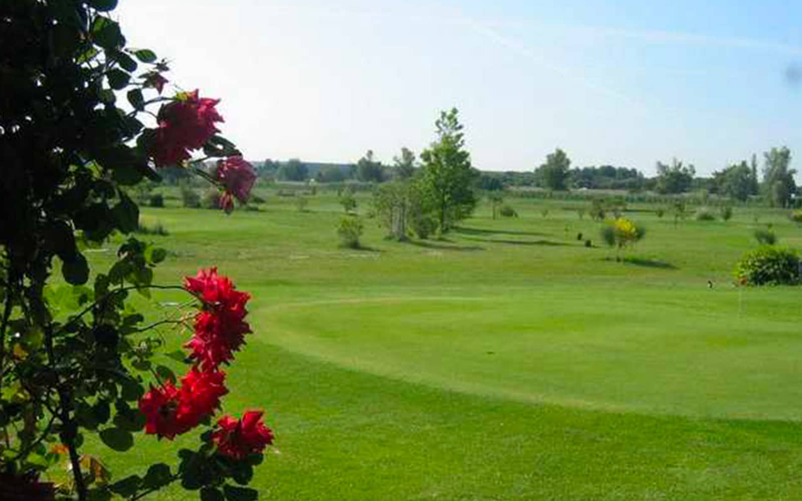 Golf de Saint Martin De Crau