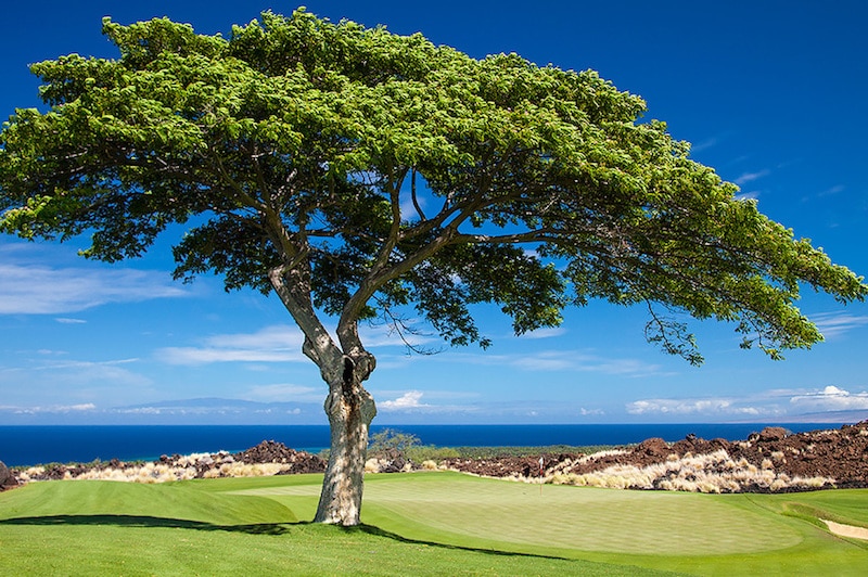 Kuki'o Golf & Beach Club, golf in Hawaii