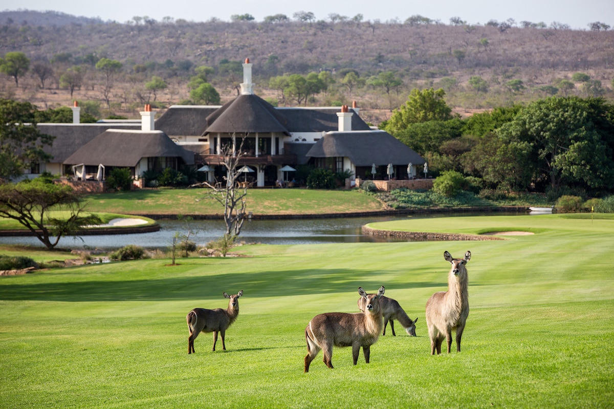 Leopard Creek golf