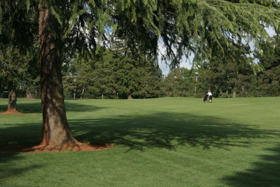 Alta Sierra Country Club, golf in California