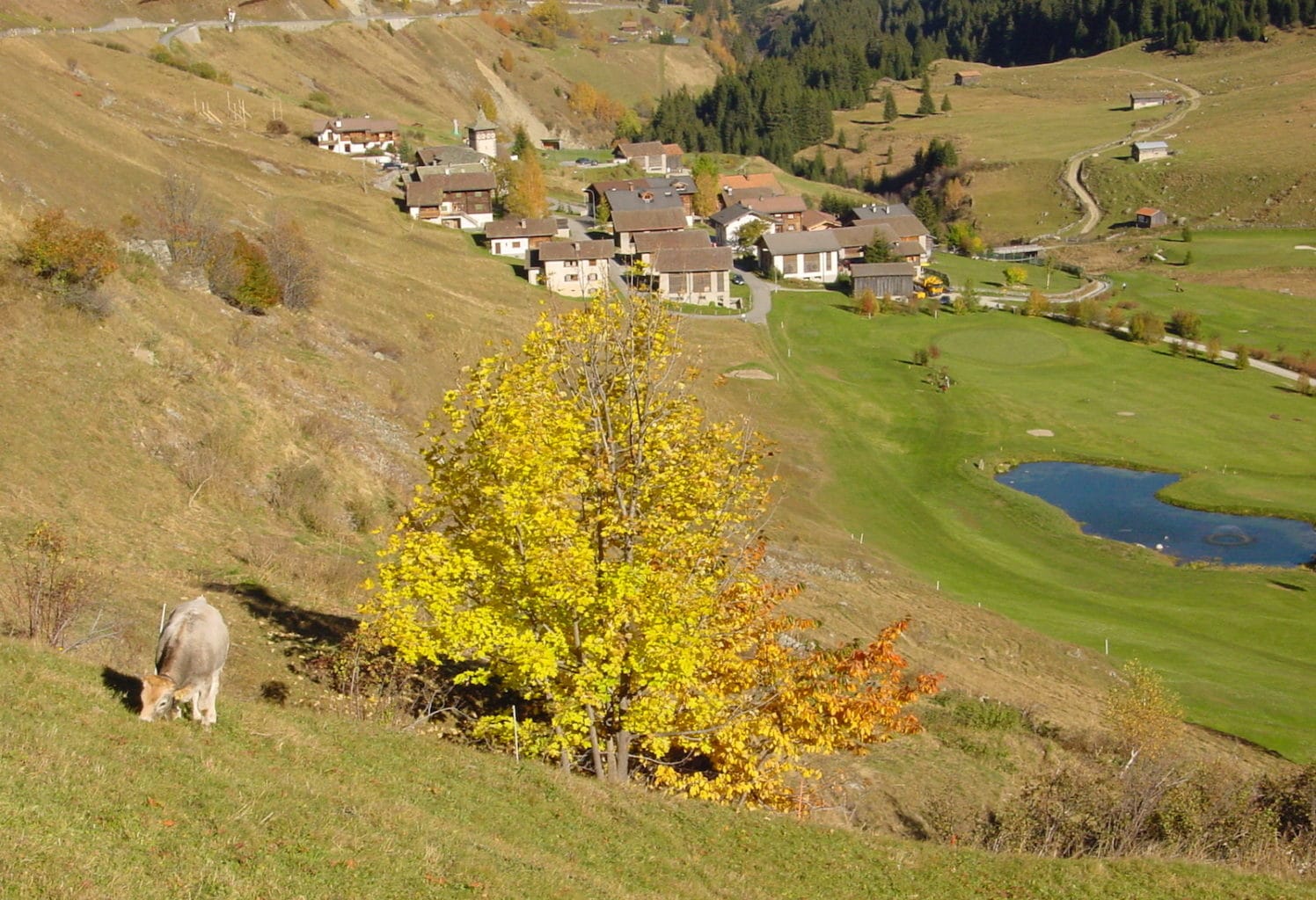 Golfclub Sedrun, switzerland golf