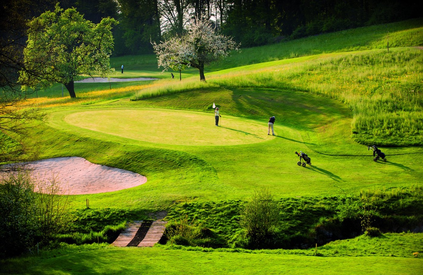 Golfpark Waldkirch