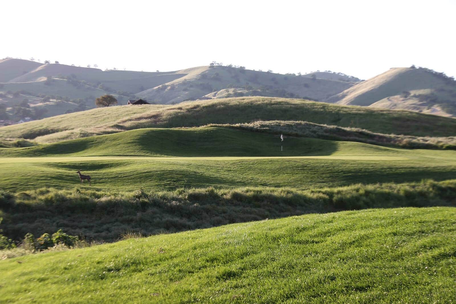 Diablo grande golf, golf in california