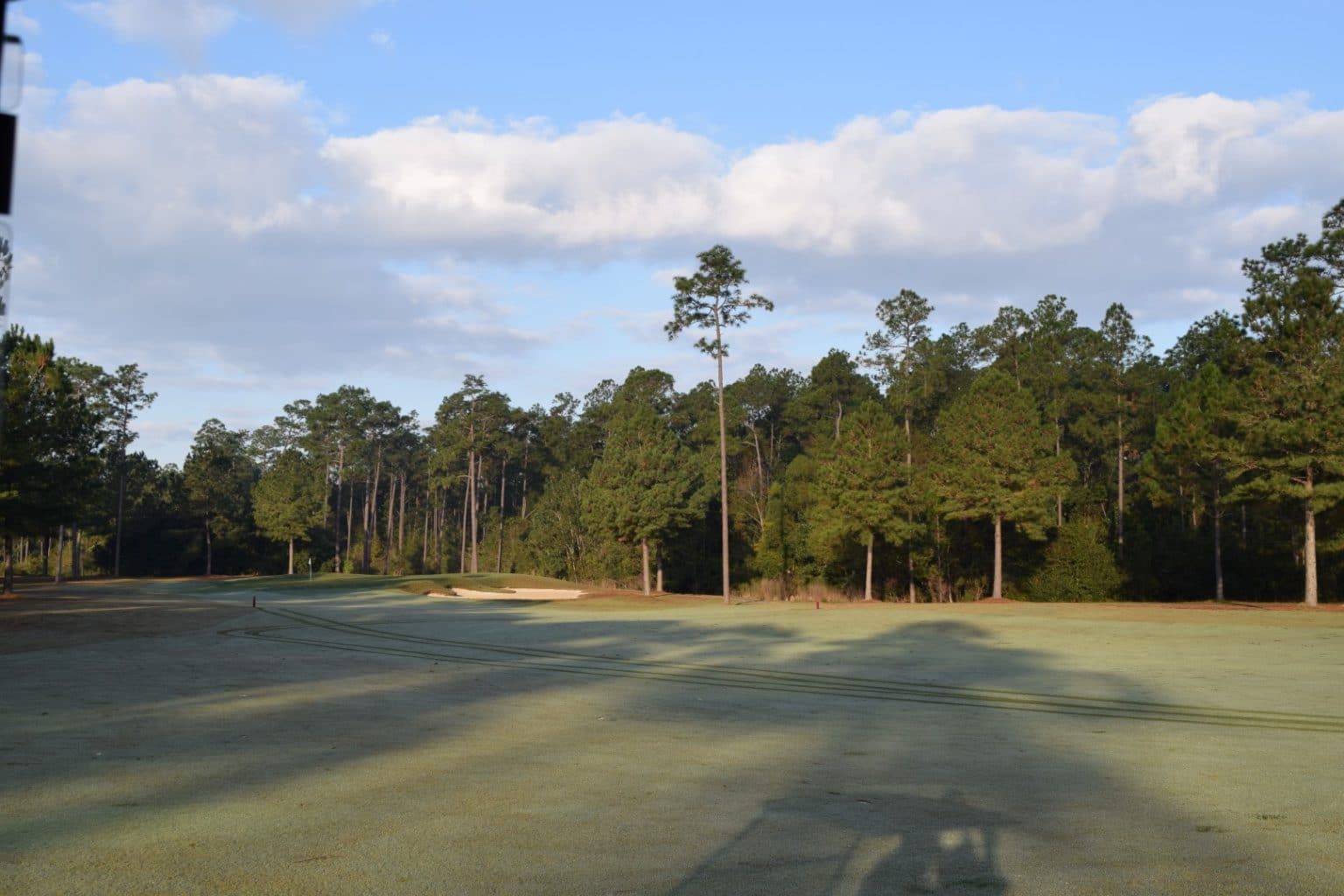 The grand bear, golf in Mississippi