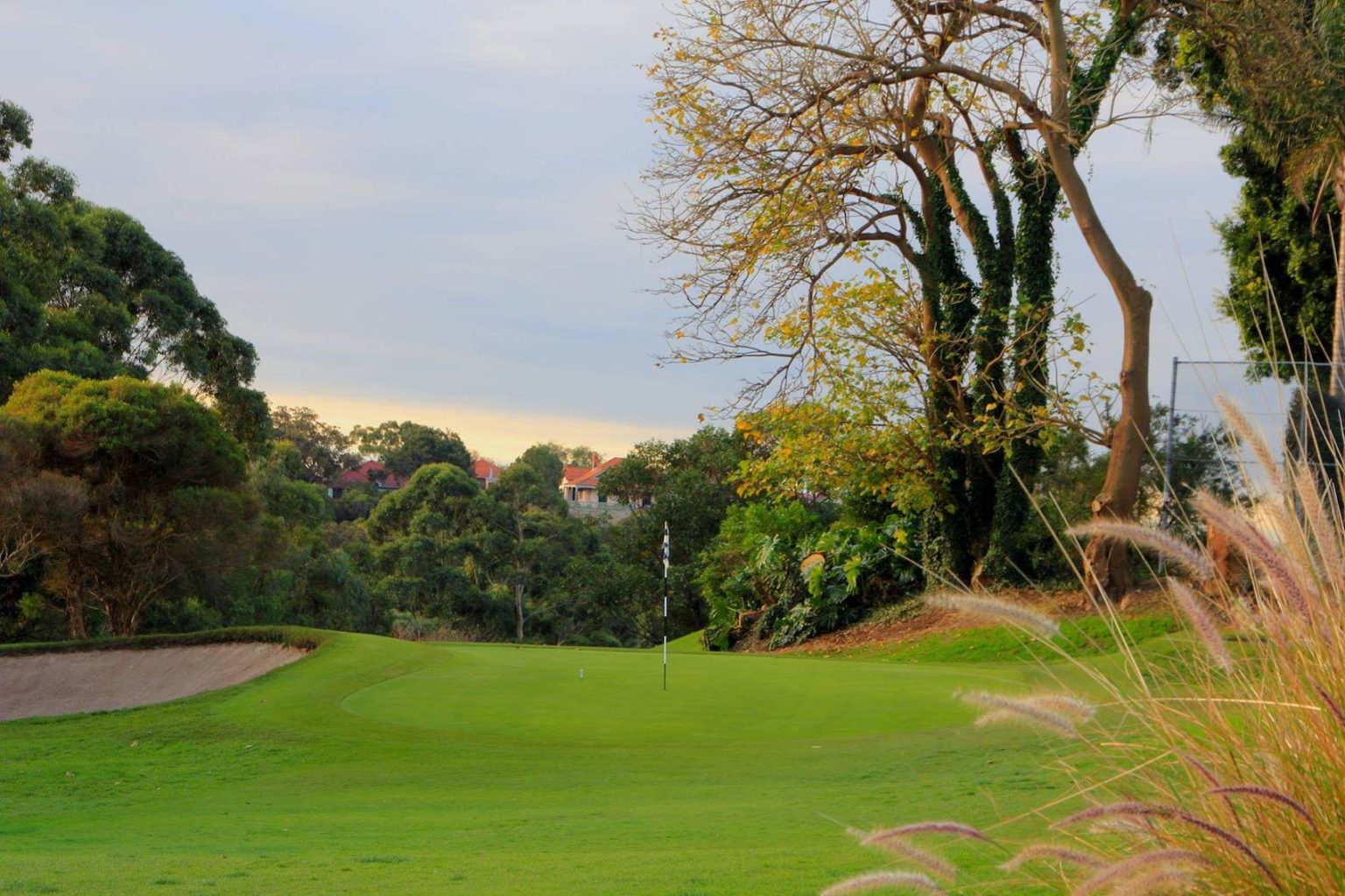Cammeray Golf Club, golf in NSW