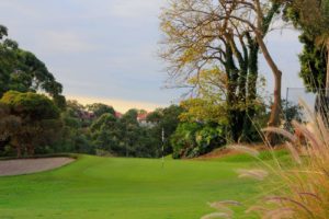 Cammeray Golf Club