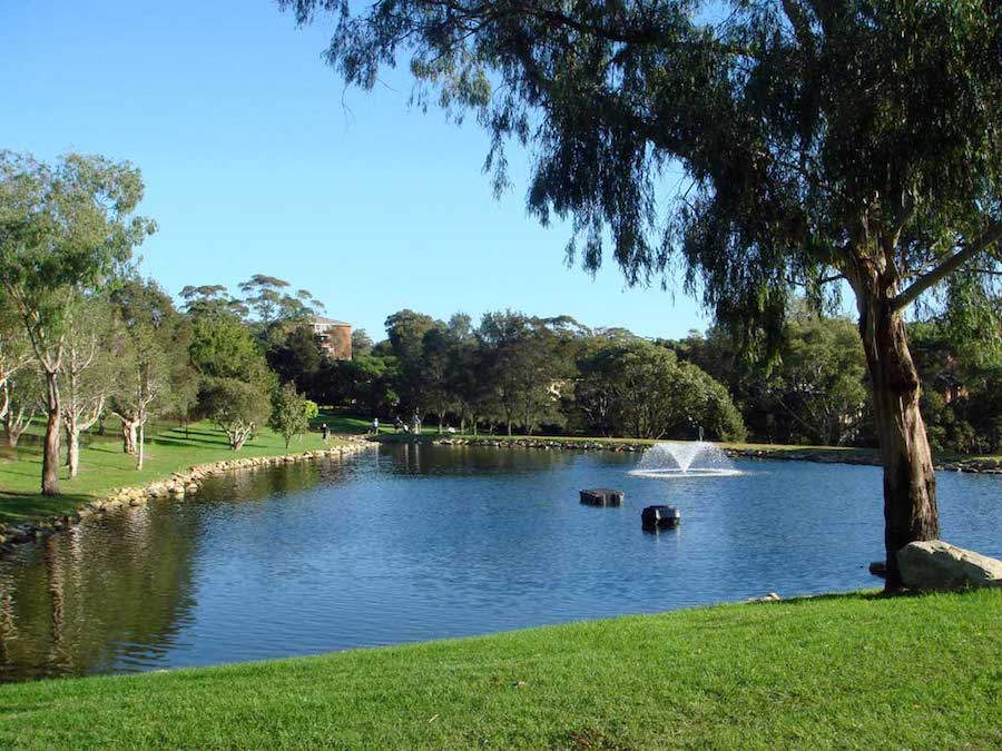 Cammeray Golf Club, golf in Australia