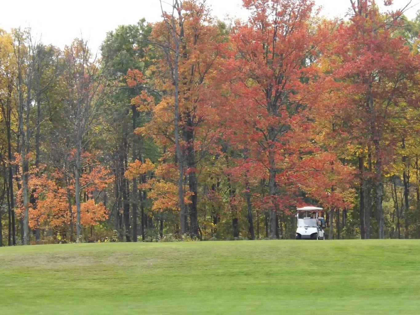 Catskill Golf Resort, golf in new york