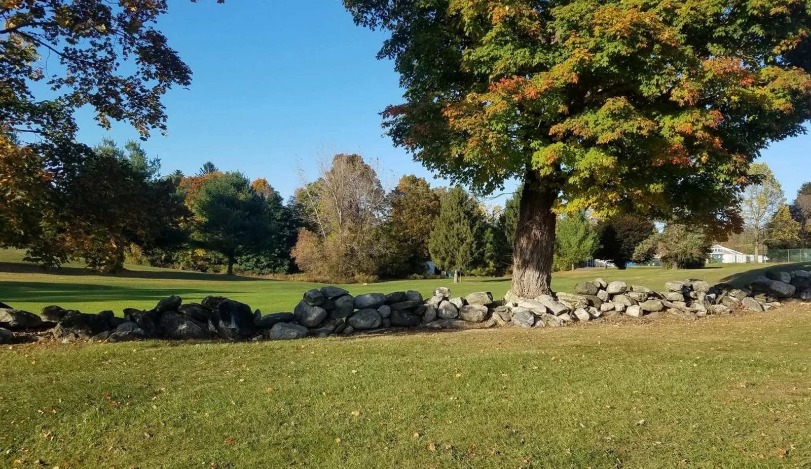 Dutcher golf course NYC