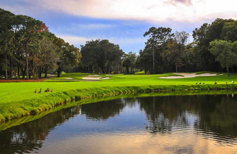 Innisbrook Golf Resort, florida golf