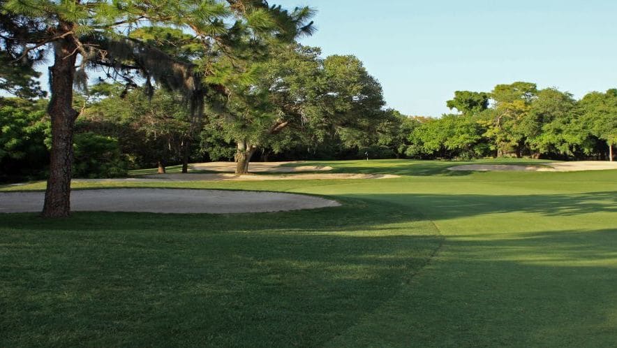 Innisbrook golf resort, golf in florida