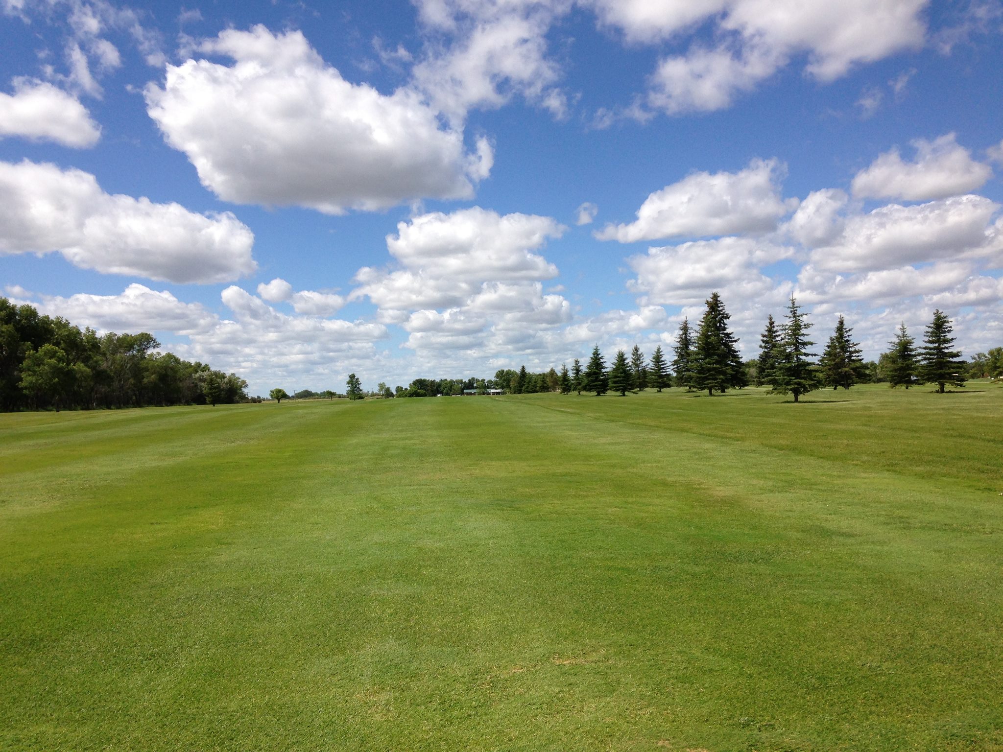 Next Golf