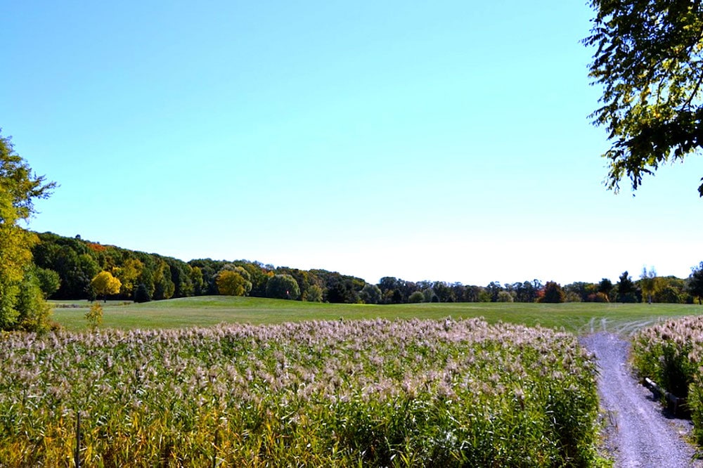 Pheasant Hollow Golf course, golf in new york