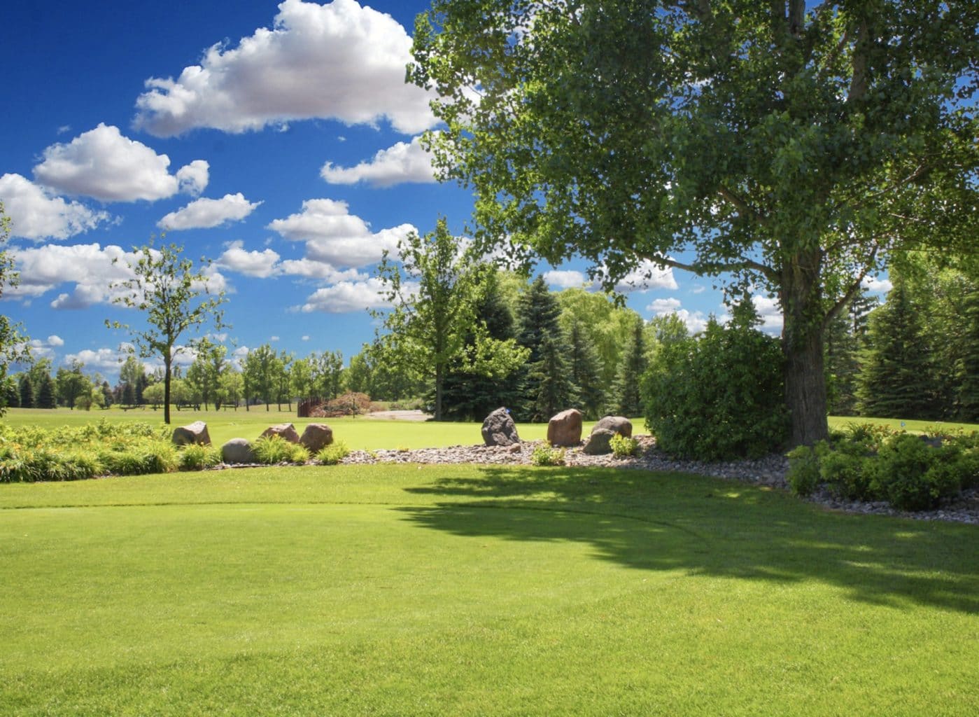 Prairiewoodgolfcoursenorthdakota Next Golf