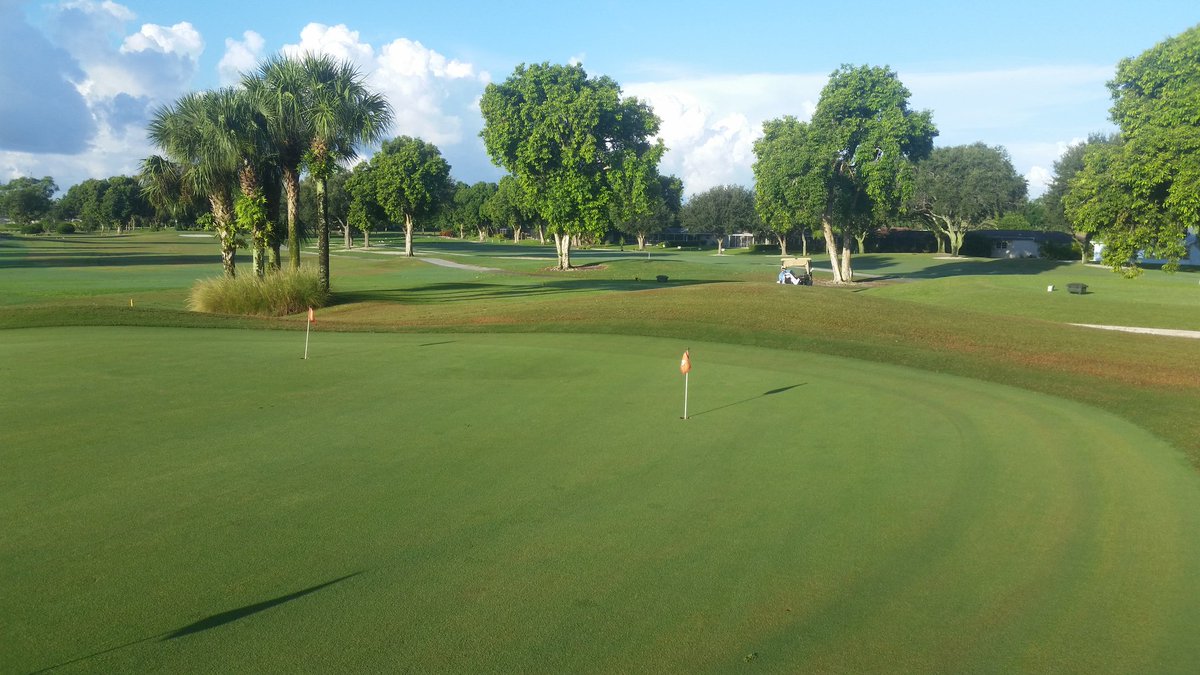 Hibiscus Golf Club, Naples golf