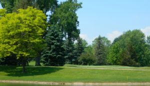 Mendon Golf Club