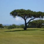 Ventura County Golf | Olivas Links