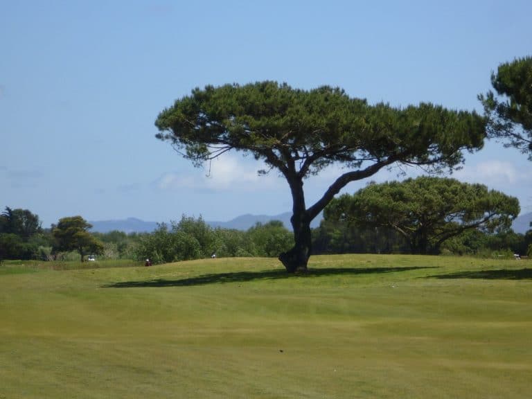 Ventura County Golf | Olivas Links