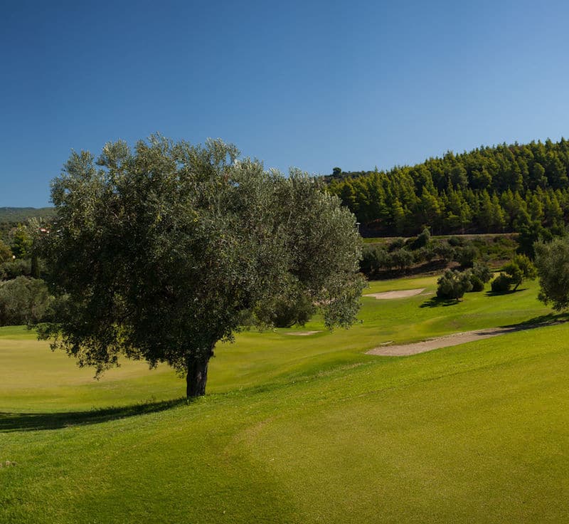 Porto Carras Resort, Porto Carras golf