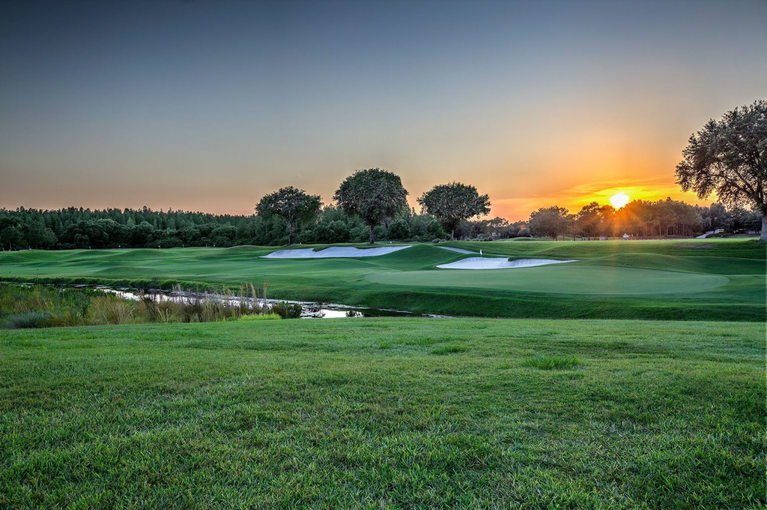 TPC Tampa Bay, golf in florida