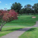 Webster Golf Club