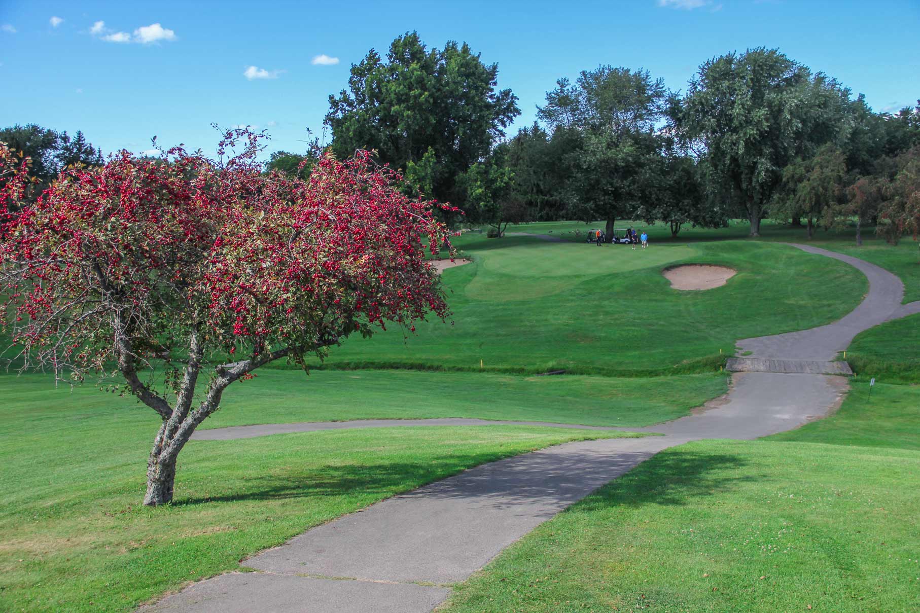 Webster Golf Club