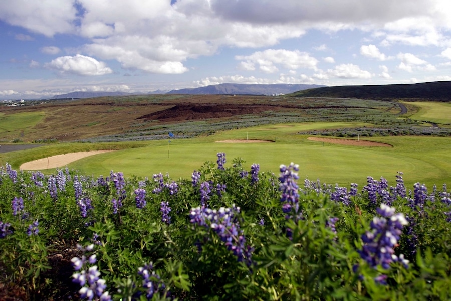 Oddur Golf club, golf in iceland