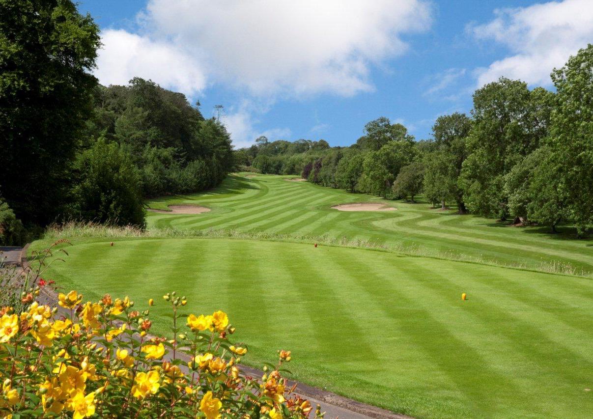 Naas Golf Club - golf in Ireland