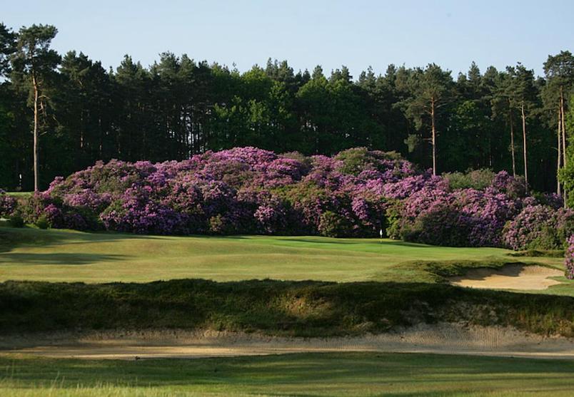 Swinley Forest Golf Club, Berkshire golf in england