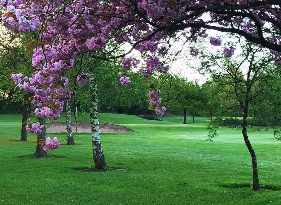 Alsager Golf and Country Club, Staffordshire, golf in england