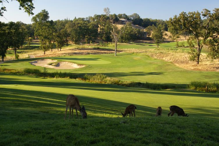 Darkhorse Golf Club, golf in california