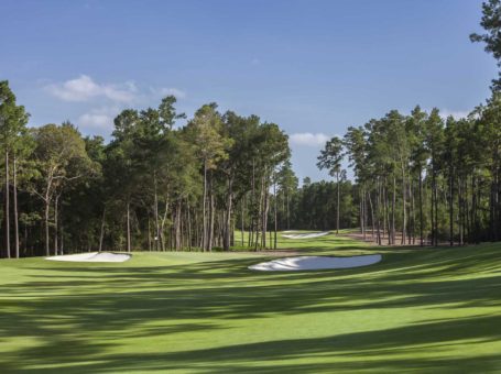 Bluejack National