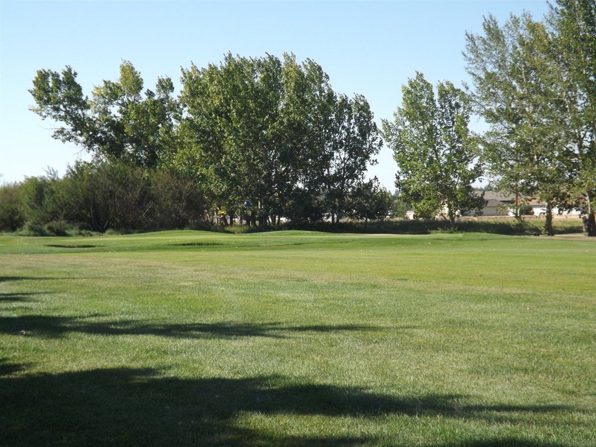 Acme Golf Club 9 hole golf in Alberta near Calgary