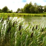 Golfclub Taunus Weilrod