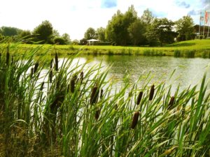 Golfclub Taunus Weilrod