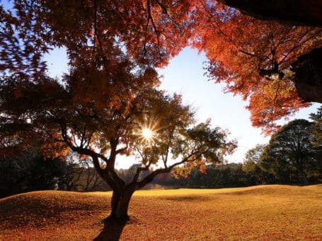 Abiko Golf Club – 我孫子ゴルフ倶楽部