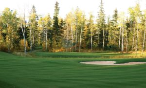 Northern Bear Golf Club