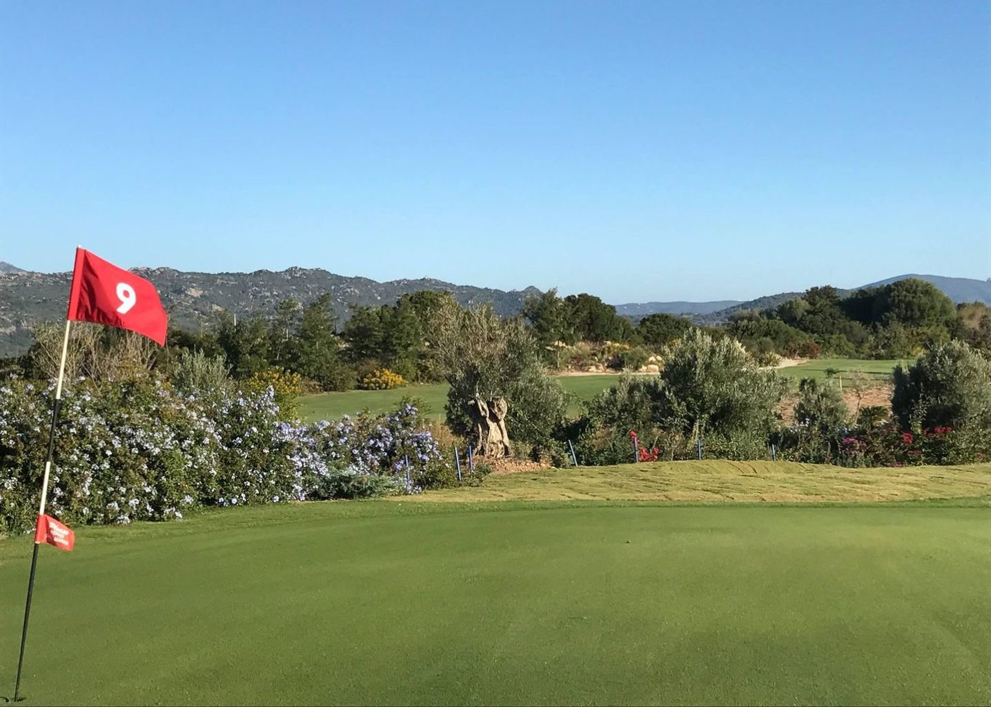 Botanic Golf Sacuba & Resort Golf in Sardinia Italy